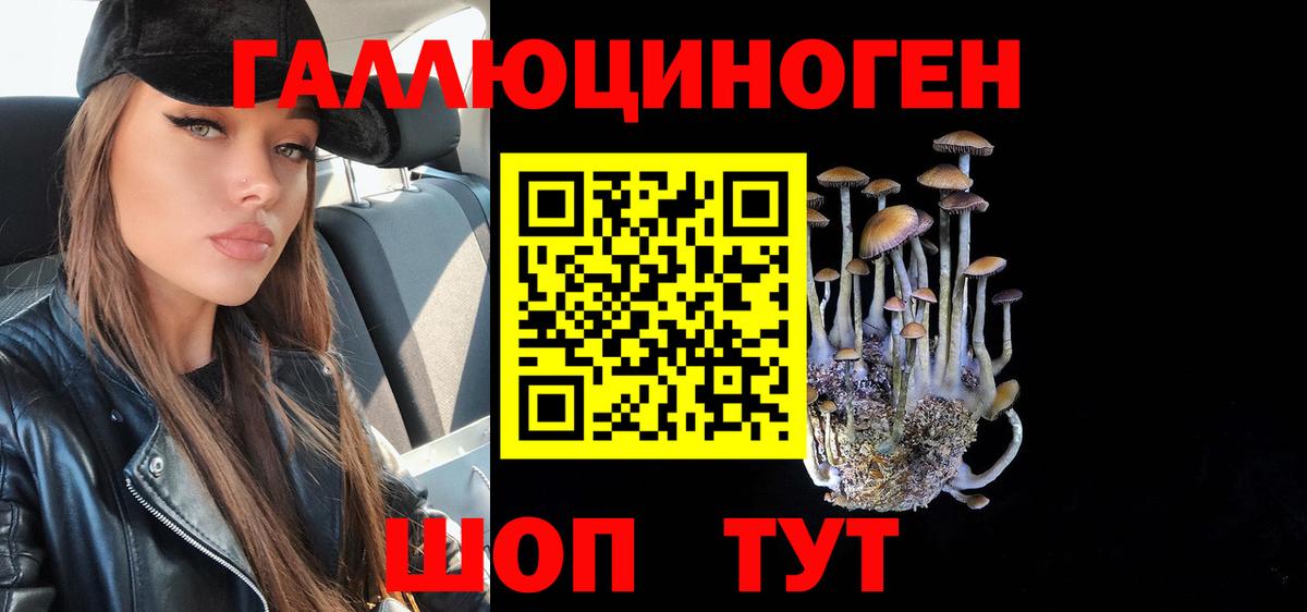 Галлюциногенные грибы Psilocybine cubensis Североуральск
